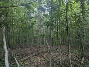 Additional image 2 of 30761 Edinborough Line