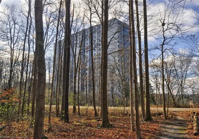 Additional image 29 of 55 Green Valley Dr Unit 709