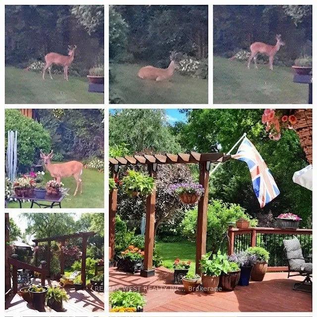 Additional image 40 of 12 Tredvalley Grve