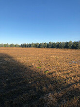 Additional image 2 of 4816 Rd 164