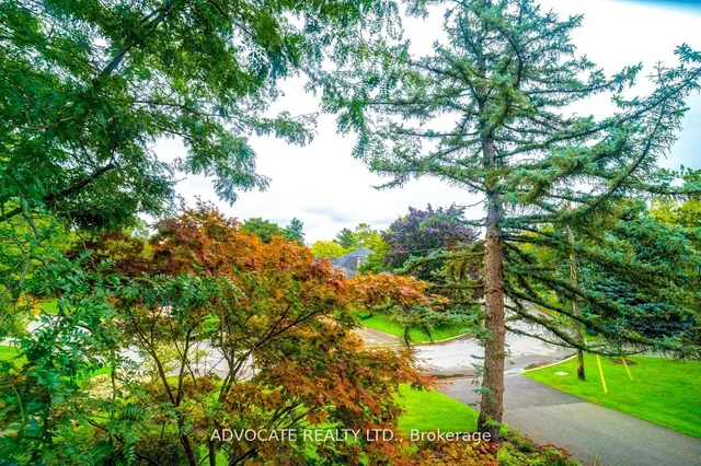 Additional image 39 of 16 Rollscourt Dr