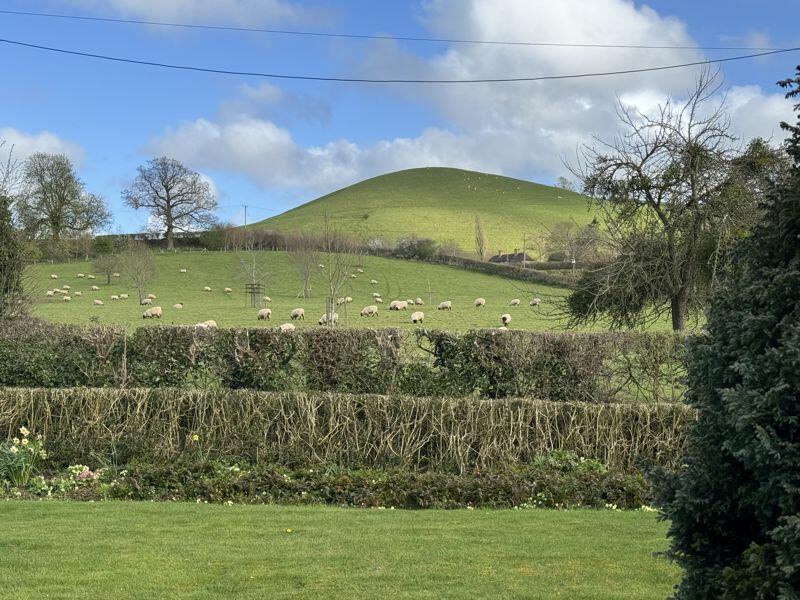 Additional image 23 of Sutton Montis