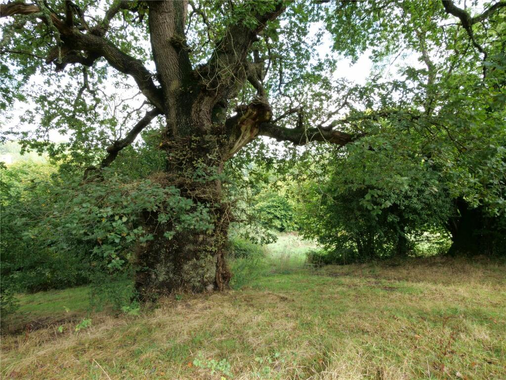 Additional image 26 of Midford, Near Bath