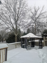 Additional image 4 of 1407 Lowen Drive