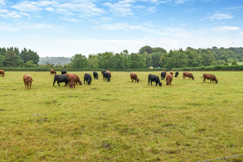 Additional image 21 of Marchants Lane, Pipehouse, Freshford, Bath, BA2