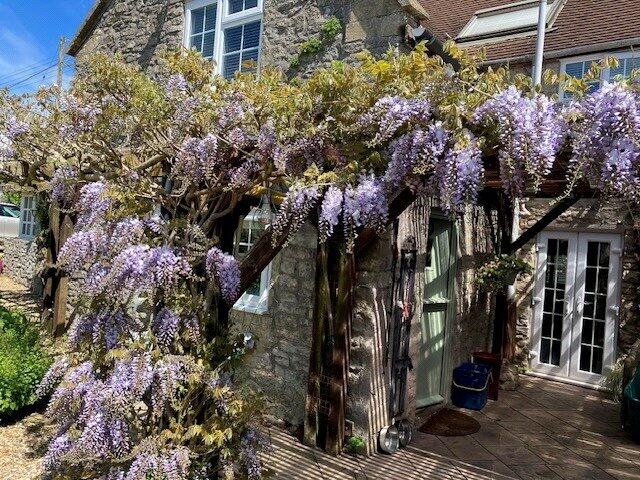 Additional image 21 of Stoney Stratton BA4