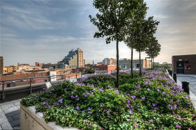 Additional image 42 of 85 Duke St Unit 1404