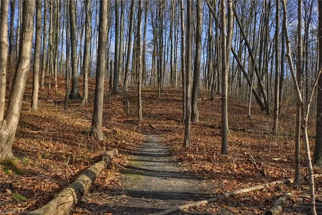 Additional image 28 of 55 Green Valley Dr Unit 709