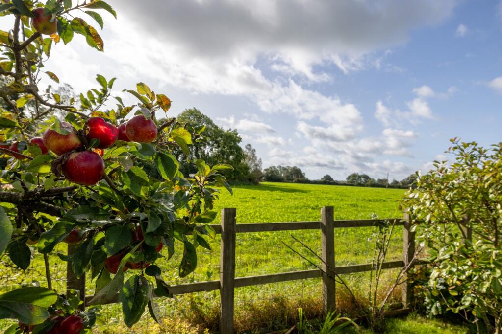 Additional image 26 of North Barrow, Yeovil, Somerset, BA22