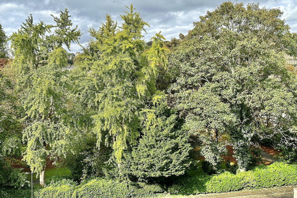 Additional image 8 of Great Pulteney Street, Bath