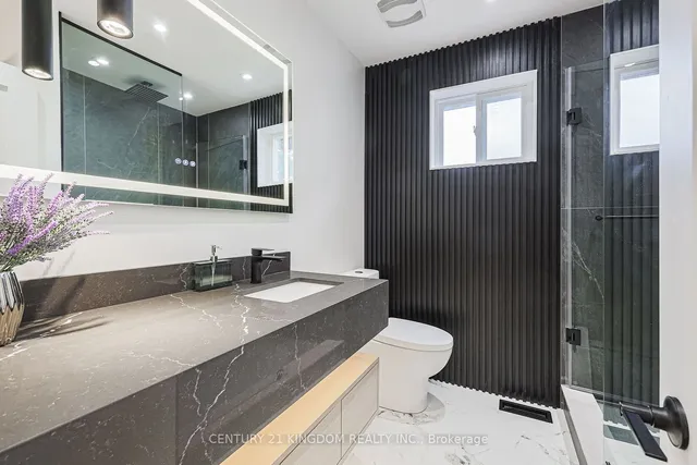 Additional image 22 of 45 Pegasus Tr