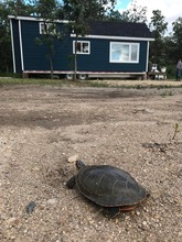 Additional image 3 of Road 26N 25080