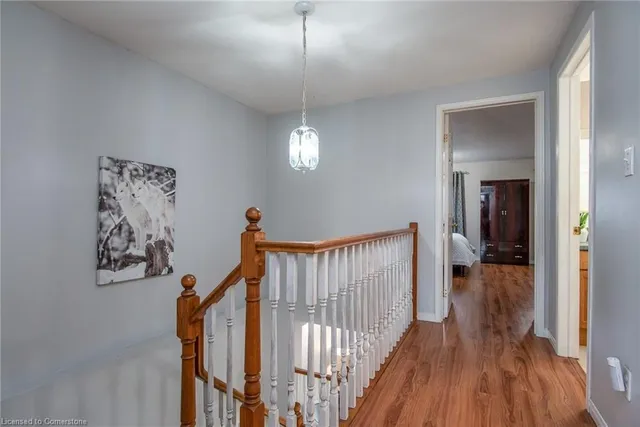 Additional image 25 of 43 Cotton Grass St