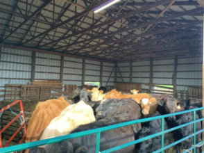 Additional image 4 of 1632 Highway 3