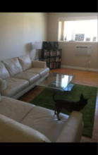 Additional image 5 of 29-1056 Grant Ave