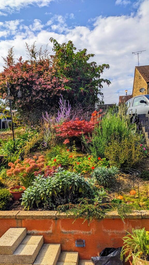 Additional image 19 of White Mead, YEOVIL