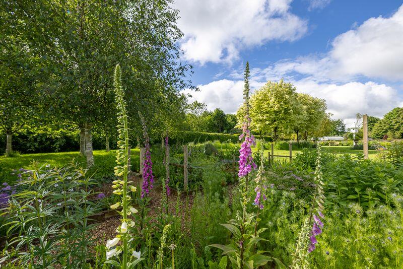 Additional image 22 of Picture perfect cottage with land and woodland