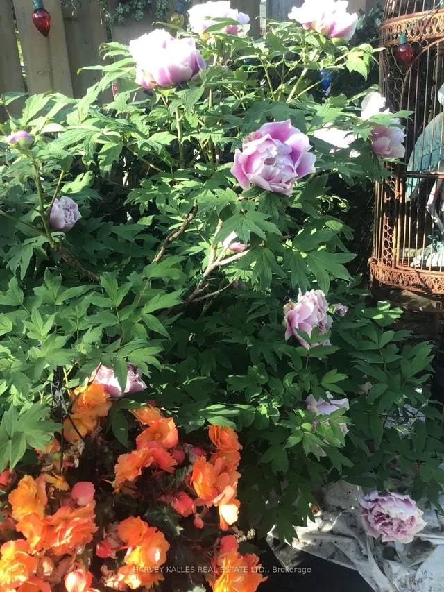 Additional image 36 of 100 Fenside Dr