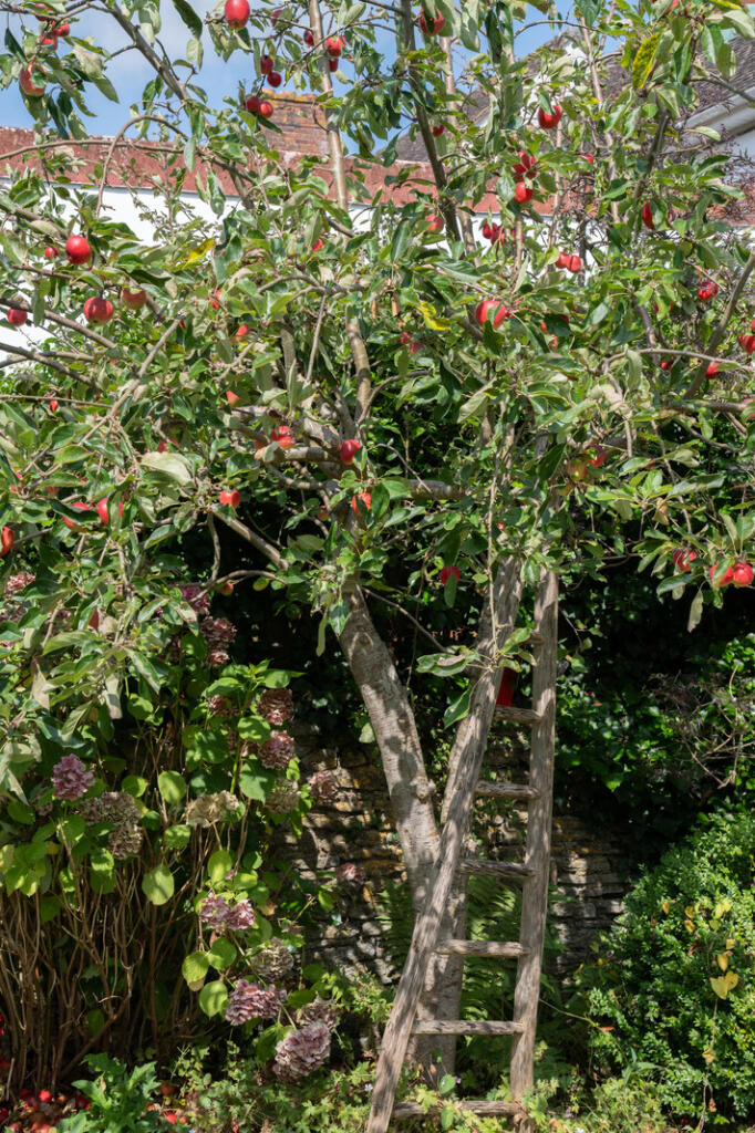 Additional image 32 of Lower Keyford, Frome, Somerset