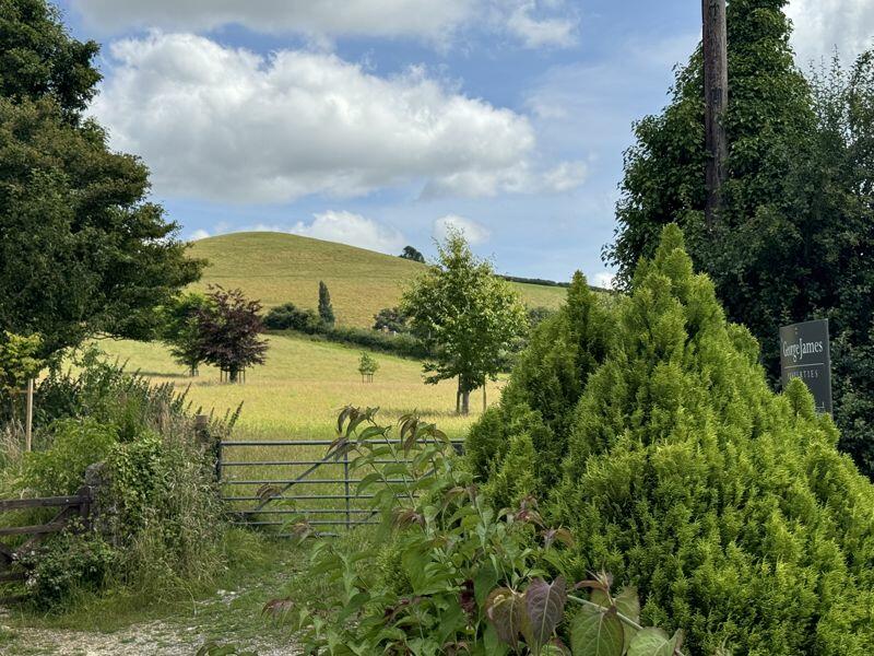 Additional image 28 of Sutton Montis