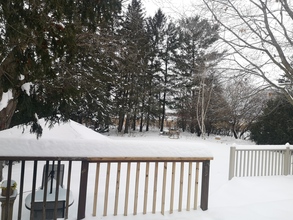 Additional image 5 of 1407 Lowen Drive