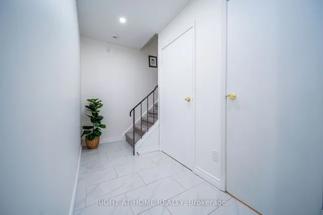 Additional image 5 of 12 Lace Fernway