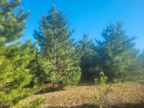 Additional image 2 of Lot 8, Pine Meadow Trail