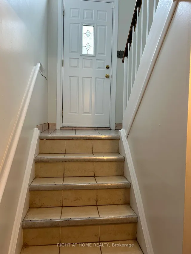 Additional image 18 of 65 Primula Cres