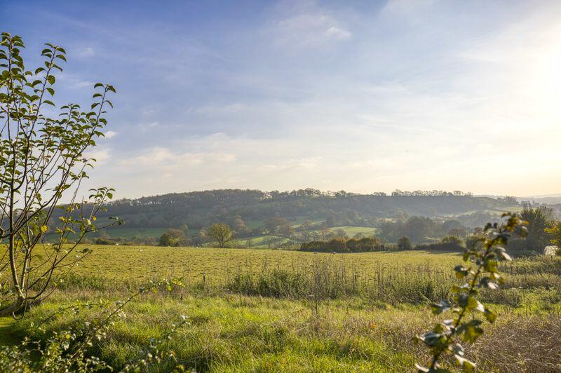 Additional image 45 of Worminster, North Wootton