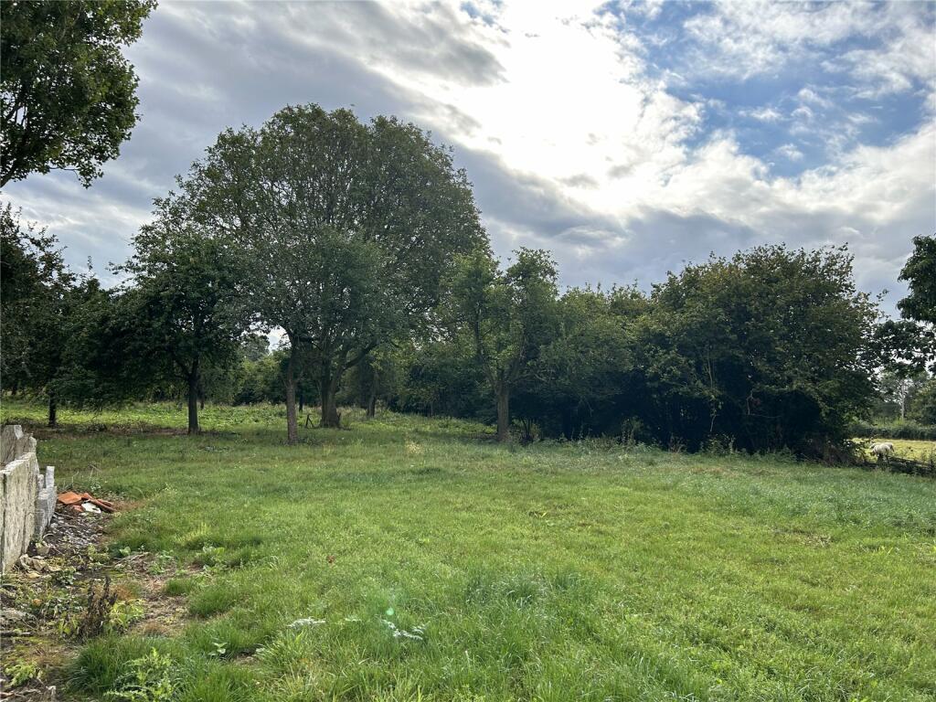 Additional image 6 of Lower Farm, Limington, Yeovil, BA22