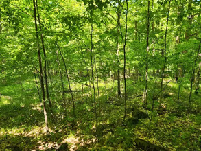 Additional image 3 of 0 McDonald's Corners Road County Road 12