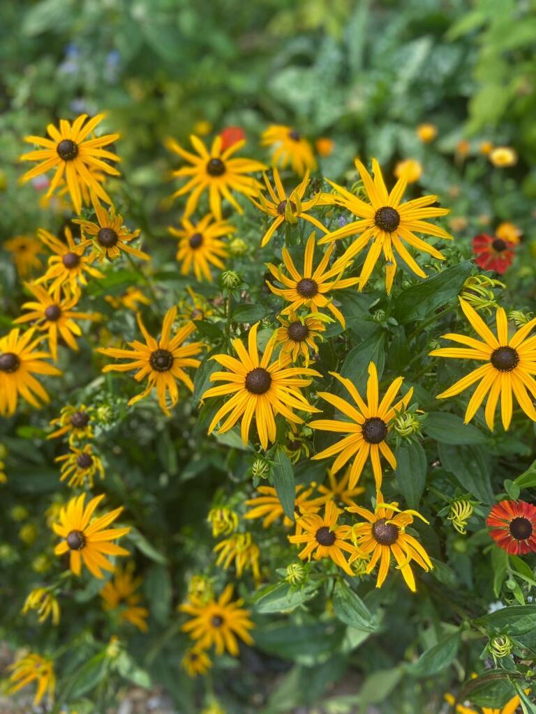 Additional image 30 of Wanstrow, BA4