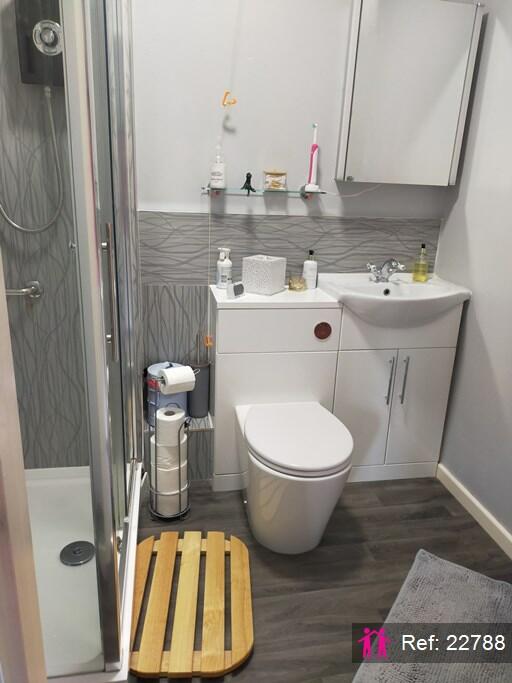 Additional image 23 of Orchard Road, Street