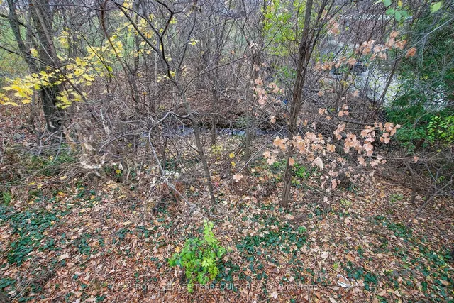 Additional image 31 of 7 Canton Ave