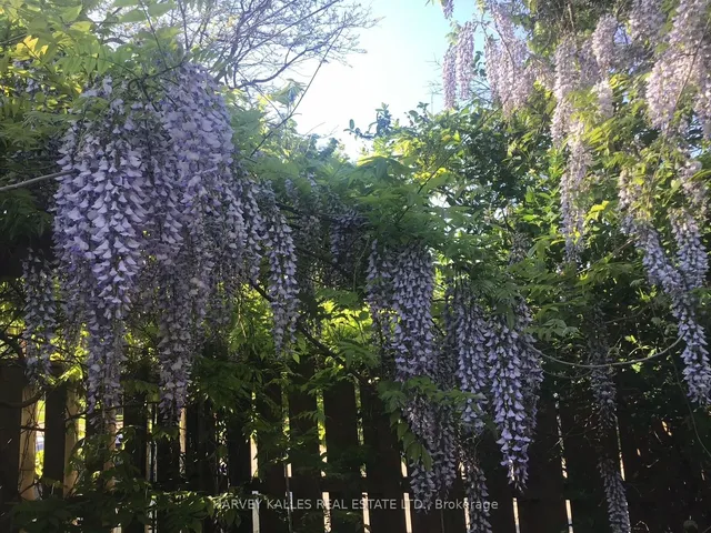 Additional image 40 of 100 Fenside Dr