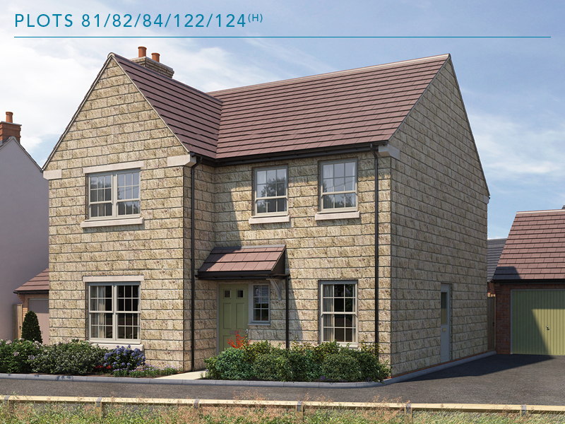 Blackberry Drive, Castle Cary, Somerset, BA7