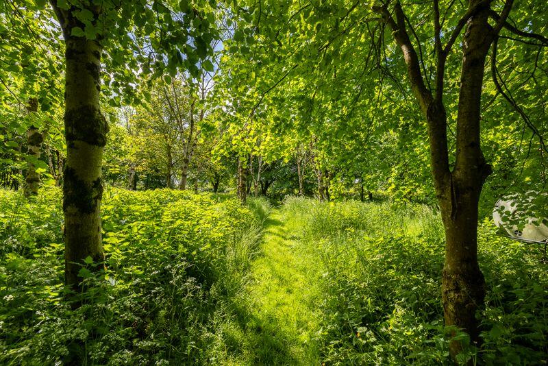 Additional image 20 of Picture perfect cottage with land and woodland