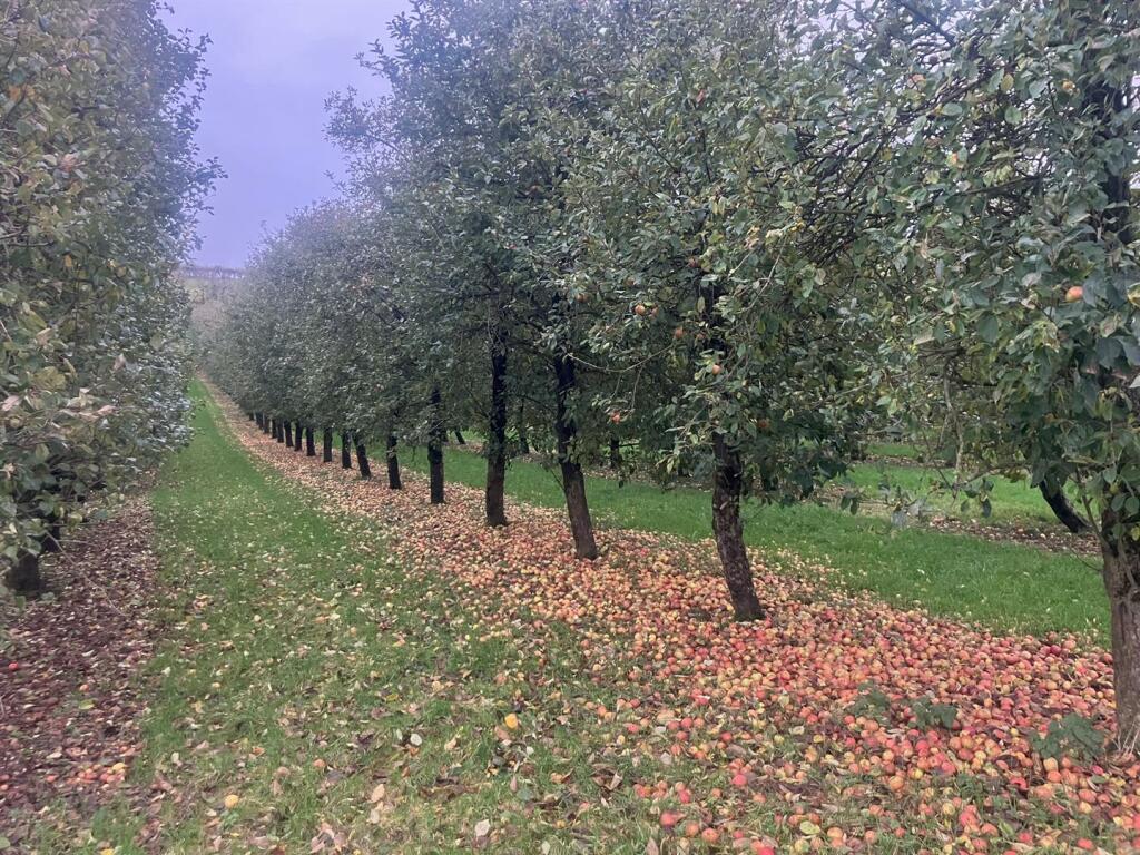 Additional image 20 of Hadspen, Castle Cary, Somerset