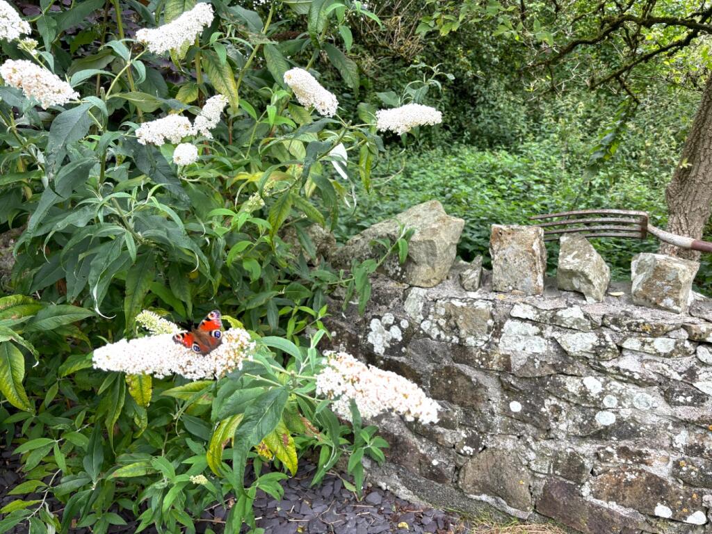 Additional image 27 of Springers Hill, Coleford, Radstock