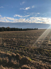 Additional image 3 of 4816 Rd 164