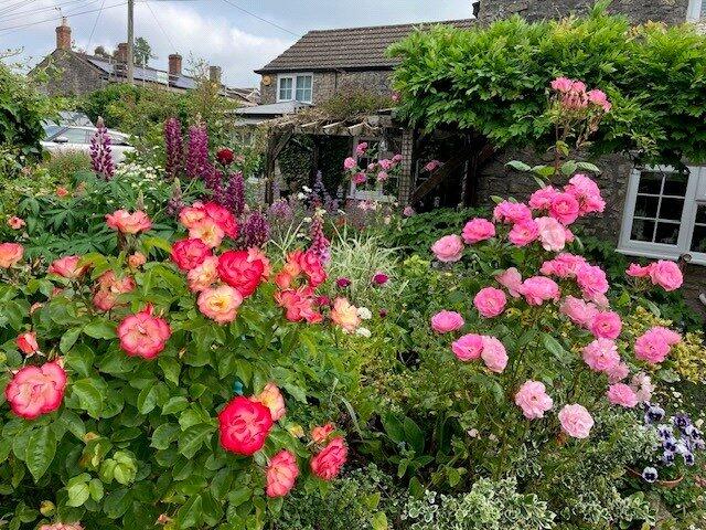 Additional image 18 of Stoney Stratton BA4