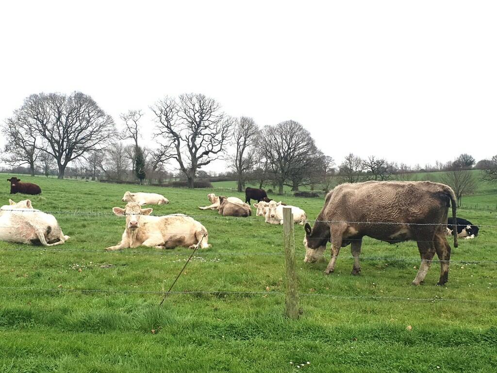 Additional image 22 of Barwick Park, Yeovil