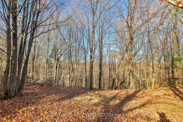 Additional image 36 of 111 Camborne Ave