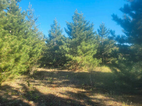 Additional image 5 of Lot 8, Pine Meadow Trail