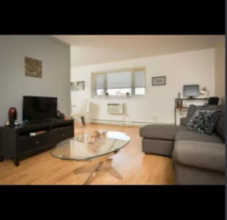 Additional image 4 of 29-1056 Grant Ave