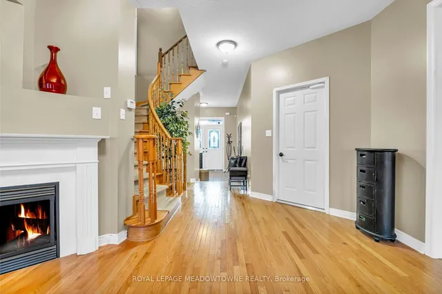 Additional image 7 of 64 Spotted Owl Cres