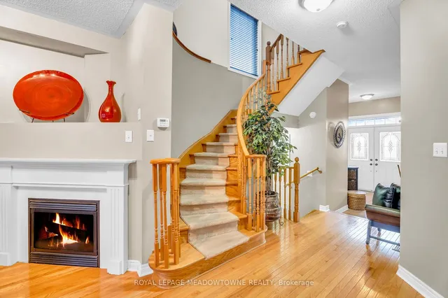 Additional image 21 of 64 Spotted Owl Cres