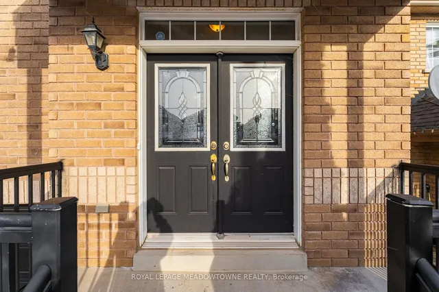 Additional image 5 of 64 Spotted Owl Cres