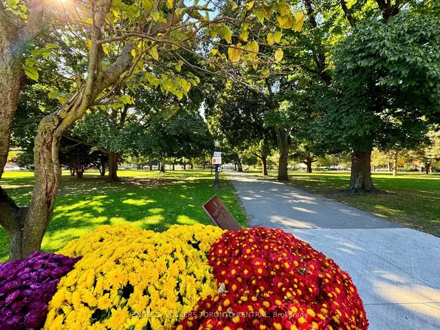 Additional image 9 of 167 Carlton St