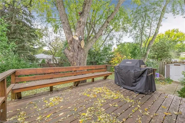 Additional image 41 of 299 Bartley Bull Pky